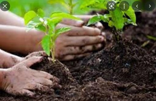 tree planting हर घर एक वृक्ष : वृक्षारोपण की तैयारी को लेकर महाविद्यालय के प्राचार्यो की बैठक आज 1 tree planting