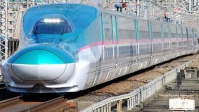 bullet train :
