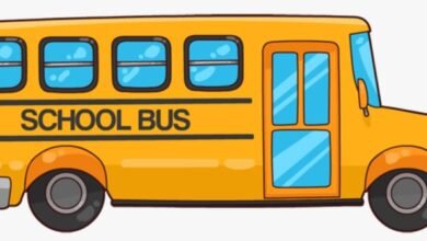 Bus :