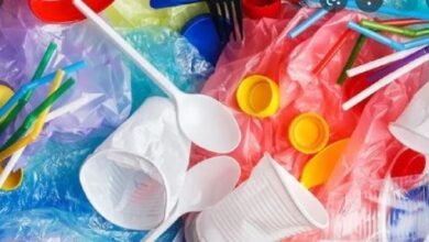 plastic :