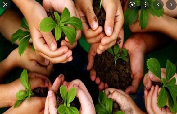 Environment : शासन की पहल पर चलाये जा रहे महावृक्षारोपण कार्यक्रम 1 Environment :