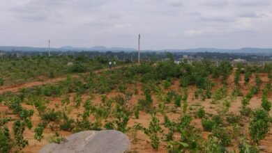 WhatsApp Image 2022 07 12 at 2.33.00 PM