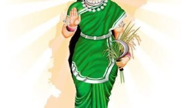 chhattisgarh mahtari