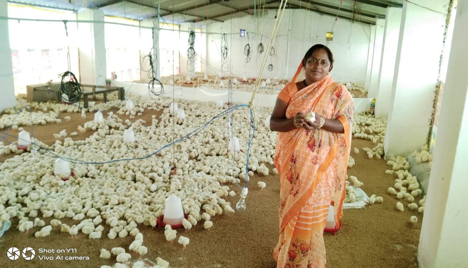 gauthan poultry farming
