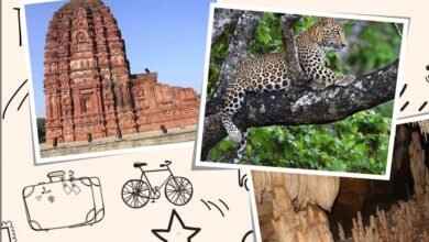 16836129 1399970760055823 4708704321045348641 o 1 e1660817009523