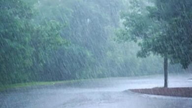 rain