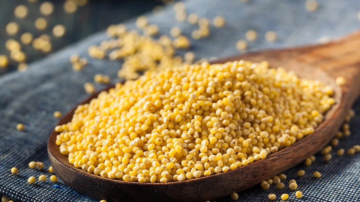 Country's largest millet processing industry to open soon in Chhattisgarh 1 millt