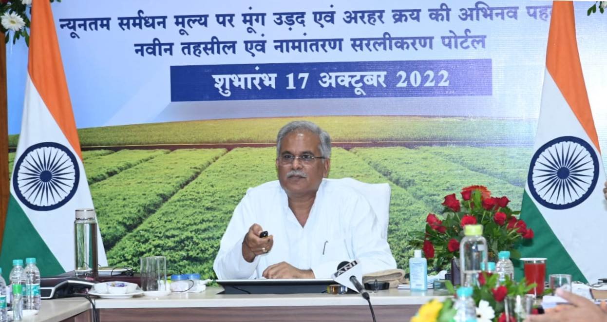 After paddy, Chhattisgarh government to procure Moong, Arhar, and Urad at MSP 1 urad