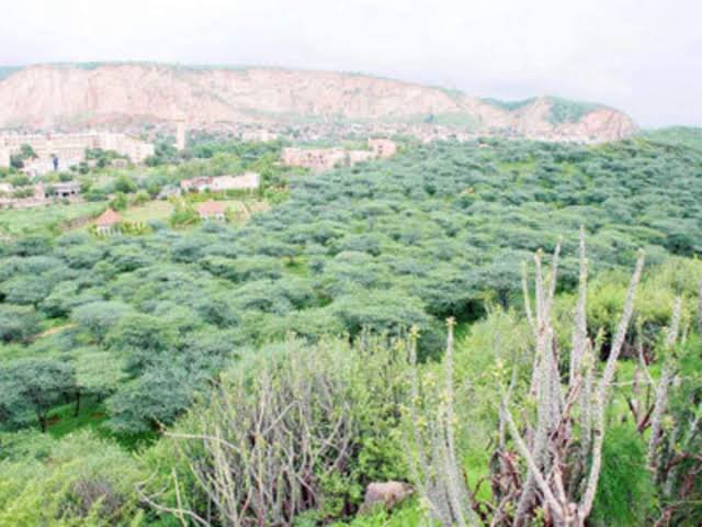 Chhattisgarh govt writes to Centre urging to cancel forest clearance approval for mining in Hasdeo Aranya 1 11EB72F4 F7BB 4C48 BABF 81280A437754