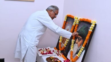 WhatsApp Image 2022 11 15 at 14.20.33