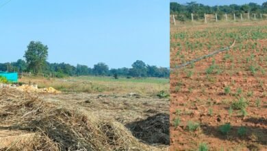 WhatsApp Image 2022 11 18 at 14.55.33