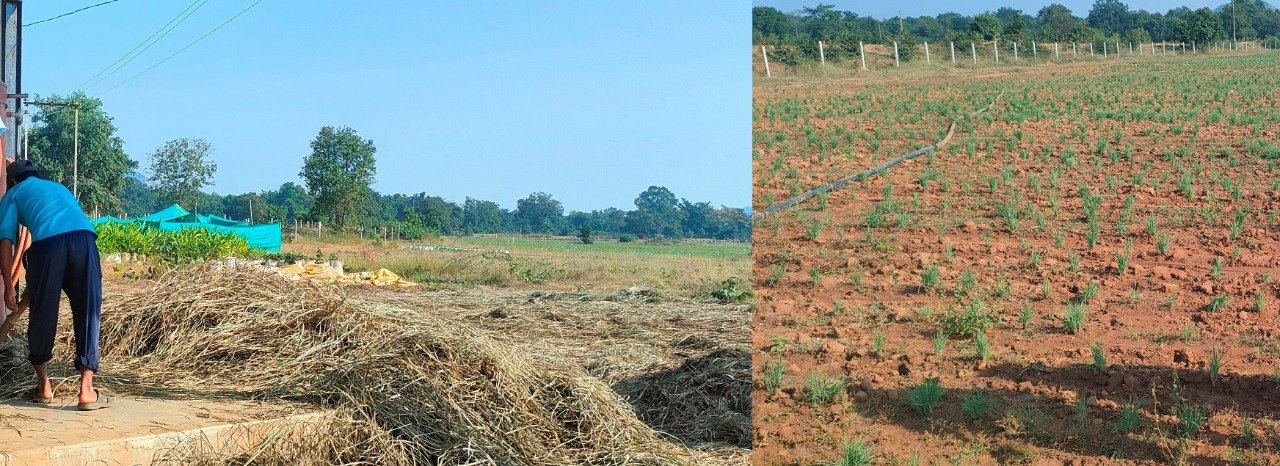 WhatsApp Image 2022 11 18 at 14.55.33