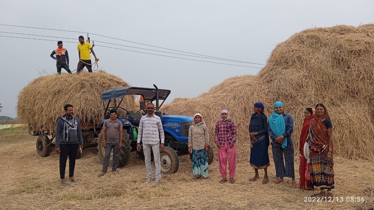 Khairagarh: Farmers reaching Gauthans with great enthusiasm for paddy stubble donation 1 paddy stubble donation