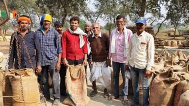 WhatsApp Image 2023 01 03 at 15.14.23