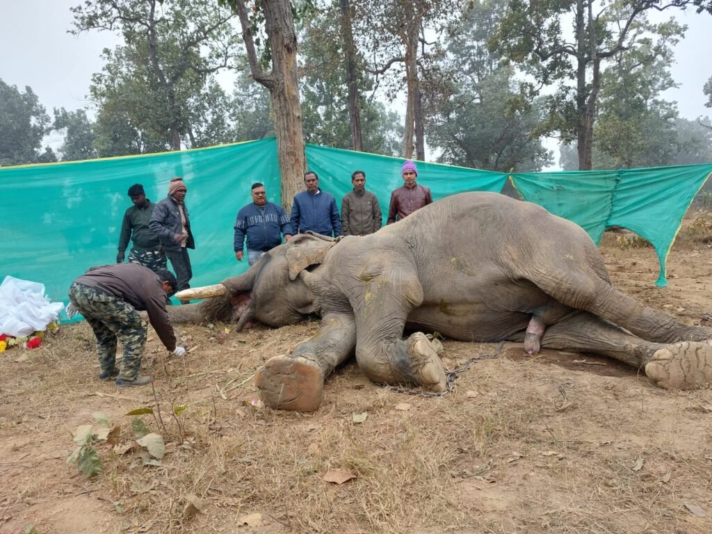 WhatsApp Image 2023 01 05 at 4.45.27 PM 1