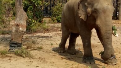 WhatsApp Image 2023 01 05 at 4.45.27 PM