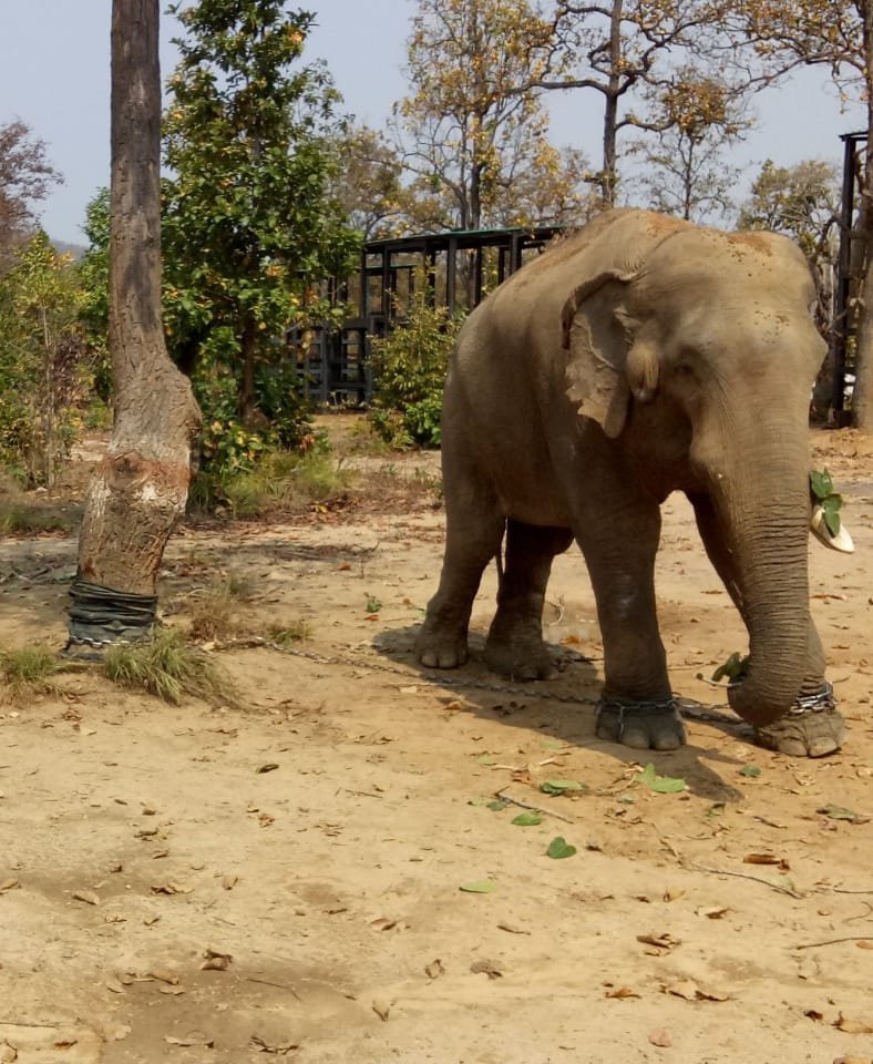 WhatsApp Image 2023 01 05 at 4.45.27 PM