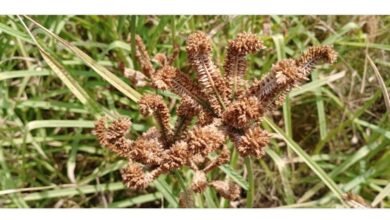 WhatsApp Image 2023 01 19 at 21.06.00