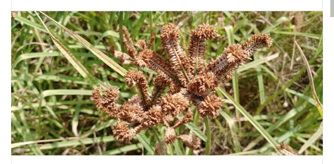 WhatsApp Image 2023 01 19 at 21.06.00