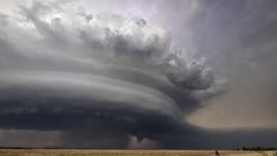 SAVE 20230322 113742