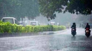 SAVE 20230331 074339