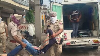 images 2023 04 30T155005.397