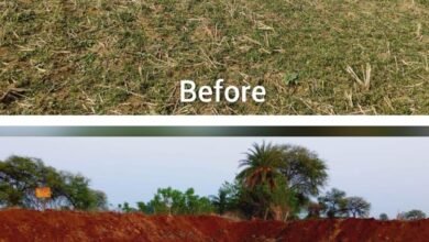 1684508601 764a924607c7150461fd