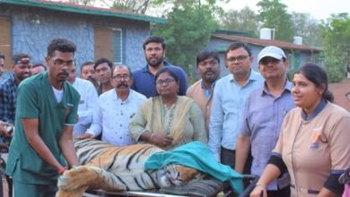 WhatsApp Image 2023 04 29 at 19.03.14