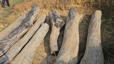 WhatsApp Image 2023 05 10 at 21.59.26