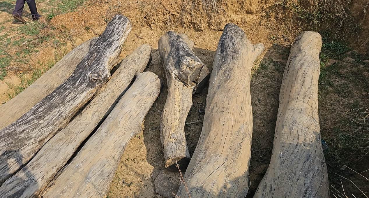 WhatsApp Image 2023 05 10 at 21.59.26