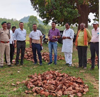 Chhattisgarh forest dwellers collect 7.48 lakh standard bags of tendu leaves in the current year, nearly 45 percent of the target 2 WhatsApp Image 2023 05 16 at 13.09.10