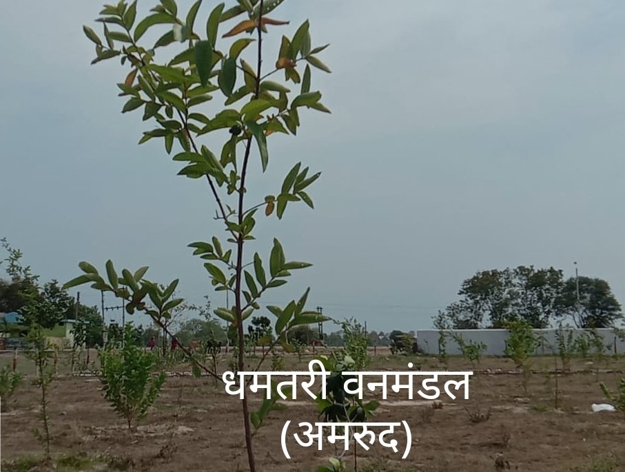 WhatsApp Image 2023 05 30 at 14.06.21