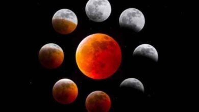 images 2023 05 03T003404.490