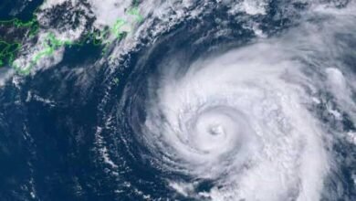 images 2023 05 05T075648.074