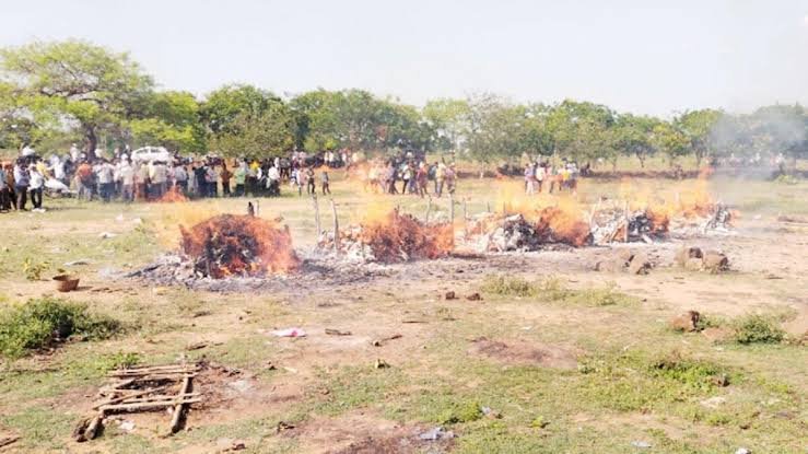 images 2023 05 05T081542.374