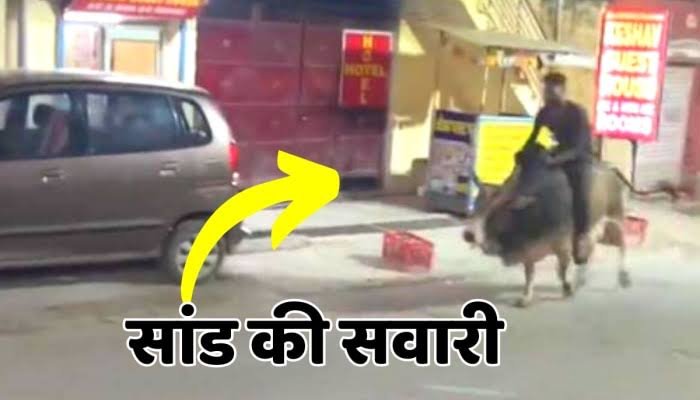 images 2023 05 08T010608.053