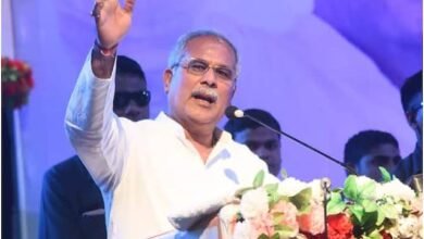 images 2023 05 12T020711.784