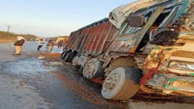 images 2023 05 15T095558.878