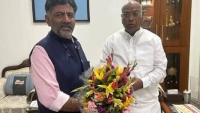 images 2023 05 17T080337.254