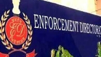 images 2023 05 17T101536.536