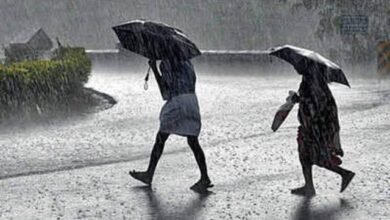 images 2023 05 17T171320.931