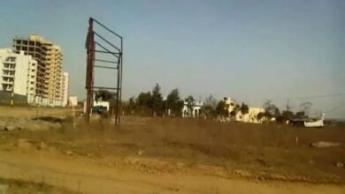 images 2023 05 18T173739.971