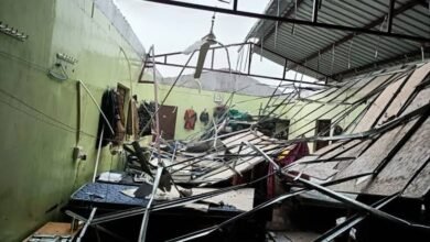 images 2023 05 20T123511.692