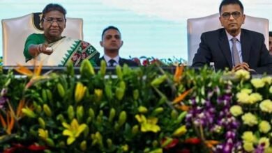 images 2023 05 25T080330.869