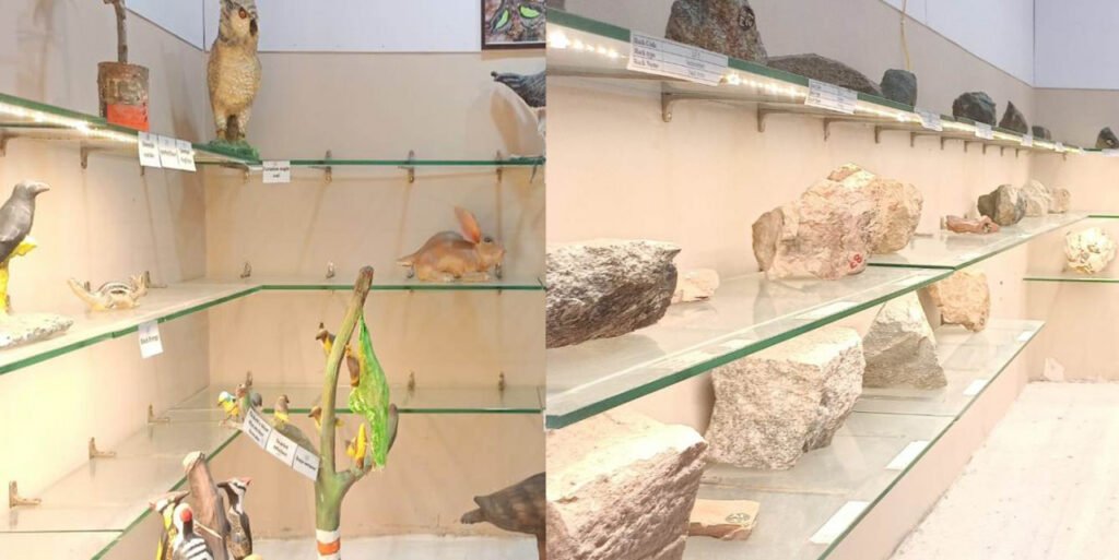 1685896163 396995fe2680446b0409