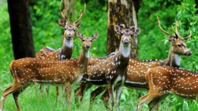 1685896328 8336dcfb725b2ae59adc