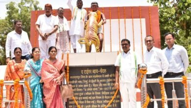 1686214729 006742302c1e93065b32 1