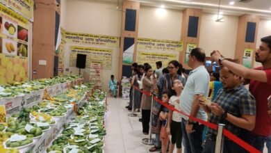 1687186266 a0a1ad24bd61f2ca3d42