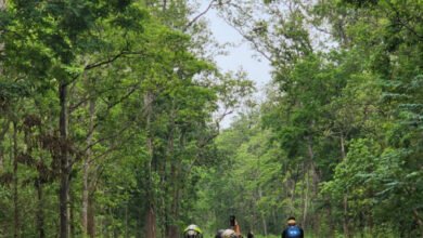 1687277400 abb8ac9c352e19c992cd