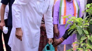 1687527851 a7dba798d74fab50c025